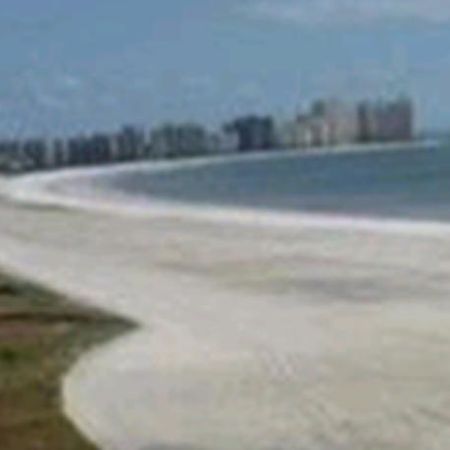 South Seas On The Gulf Marco Island Facilidades foto